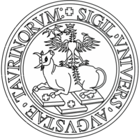 Turin logo